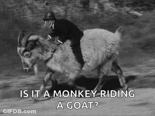 Man Riding Goat Is It Monkey Riding Goat GIF