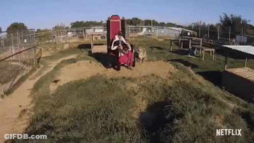 Man Riding Goat Saying Is It A Monkey Riding A Goat GIF