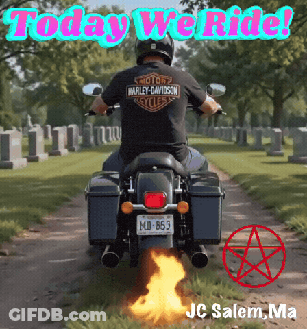 Man Riding Harley Davidson Motorcycle With Flames GIF