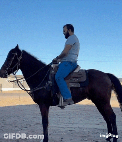Man Riding Horse Blue Sky Imgplay GIF