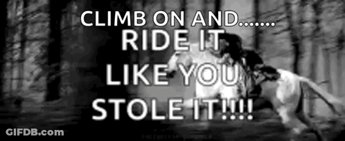 Man Riding Horse Climb And Ride GIF