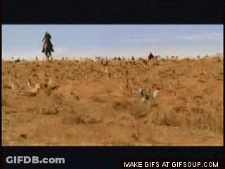 Man Riding Horse Desert Make Gifs At Gifsoup.com GIF