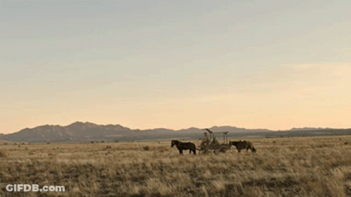 Man Riding Horse-Drawn Carriage Across Dry Grass Field GIF