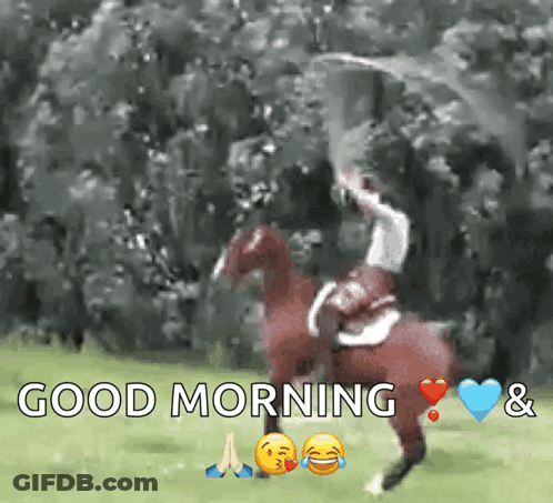 Man Riding Horse Good Morning GIF