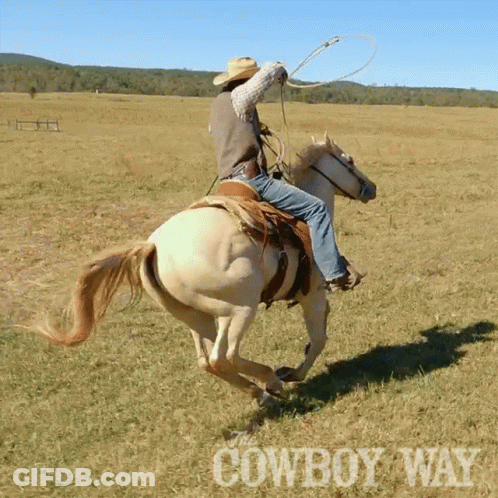 Man Riding Horse In Field Cowboy Way GIF