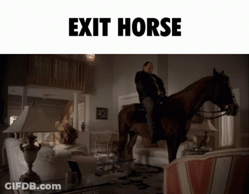 Man Riding Horse In Living Room GIF
