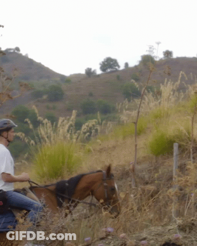 Man Riding Horse In Tall Grass GIF