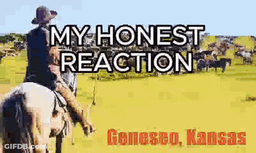 Man Riding Horse My Honest Reaction GIF
