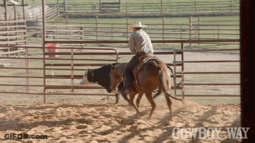 Man Riding Horse Near Cowboy Way Sign GIF