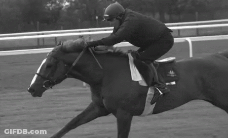 Man Riding Horse On Race Track GIF