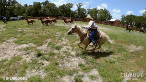 Man Riding Horse Saying Ultimate Cowboy Brewing GIF