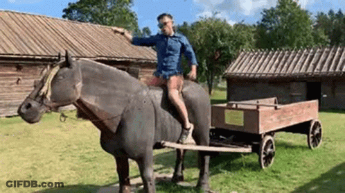 Man Riding Horse Statue Pulling Cart GIF