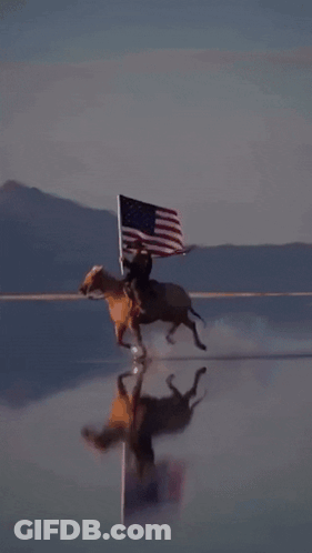 Man Riding Horse With American Flag GIF