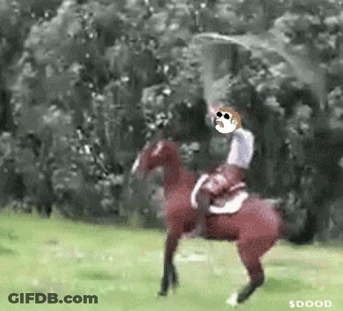 Man Riding Horse With Dood GIF