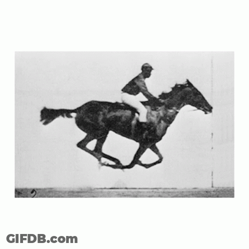 Man Riding Horse With Number 15 GIF