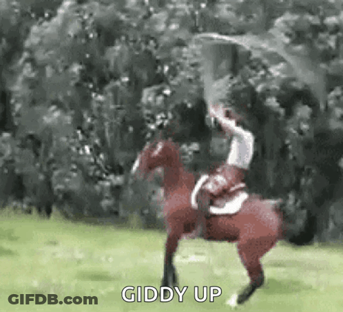 Man Riding Horse With Sword GIF