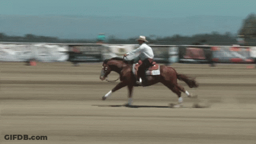 Man Riding Horse With Tag 524 GIF