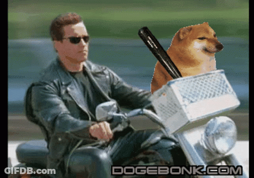 Man Riding Motorcycle Next To Dog With Baseball Bat GIF