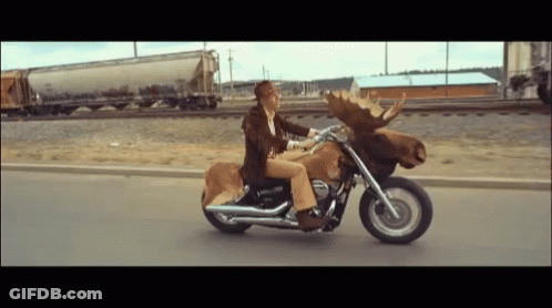 Man Riding Motorcycle With Moose Head GIF