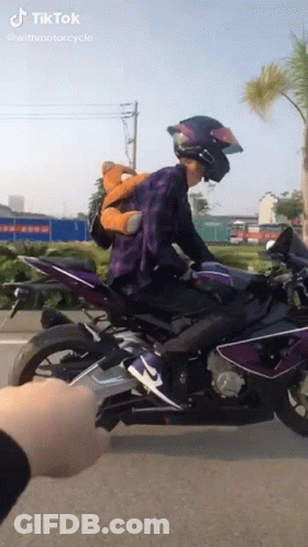 Man Riding Motorcycle With Teddy Bear GIF