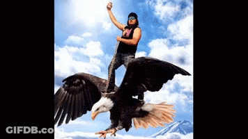 Man Riding On Back Of Eagle In Sky GIF