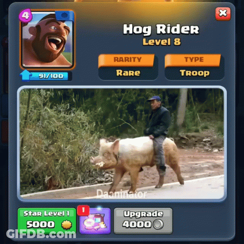 Man Riding Pig In Hog Rider Level 8 GIF