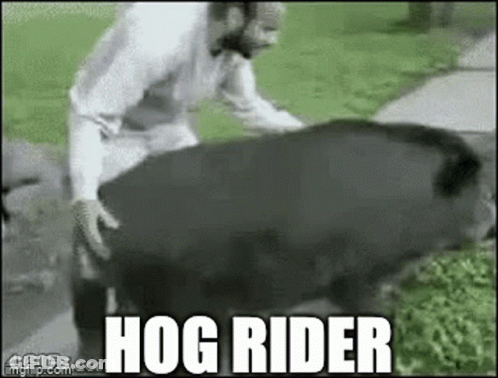 Man Riding Pig Saying Hog Rider GIF