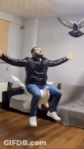 Man Riding Pigeon With Arms Outstretched GIF