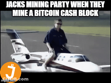 Man Riding Plane Mining Bitcoin Cash GIF