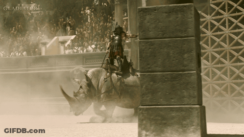 Man Riding Rhino In Arena Saying Gladiator GIF