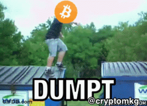 Man Riding Skateboard With Bitcoin On Head And Dumpt Below GIF