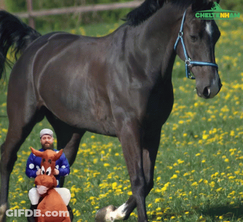 Man Riding Stuffed Horse With Chltnh GIF