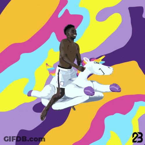 Man Riding Unicorn With 23 GIF