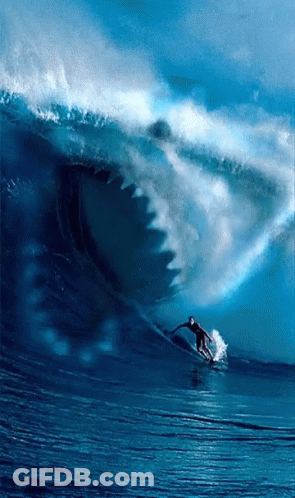 Man Riding Wave With Shark In Background GIF