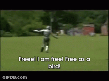Man Running Freeee Free As A Bird GIF