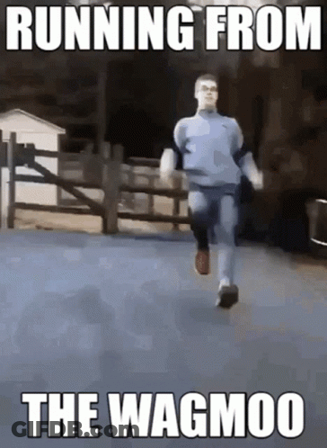 Man Running From Wagmoo GIF