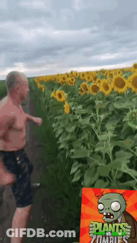 Man Running In Sunflower Field GIF