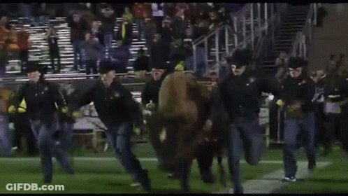 Man Running On Football Field Holding G Banner GIF