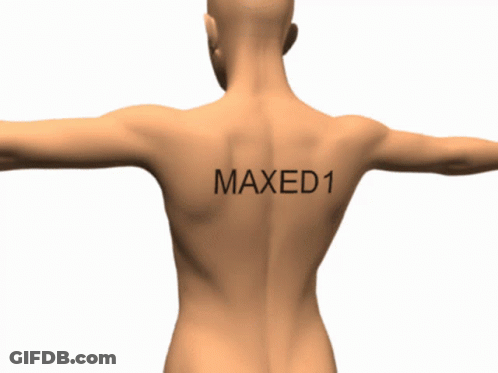 Man's Back With Word Maxed1 GIF