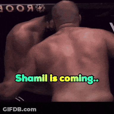 Man's Back With Words Shamil Is Coming GIF