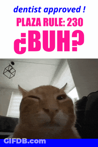 Man's Face Close Up With Blue Circle GIF