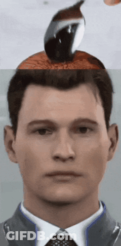 Man's Face With Bird On Head GIF