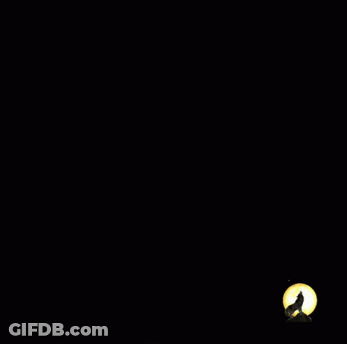 Man's Face With Wolf Silhouette In Dark GIF