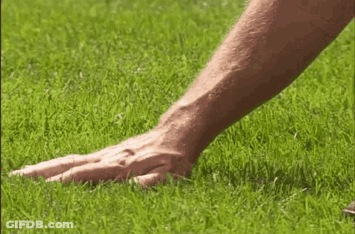 Man's Hand Laying On Grass GIF