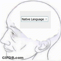 Man's Head With Native Language English Text GIF