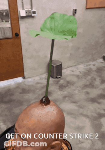 Man's Head With Plant Get On Counter Strike 2 GIF