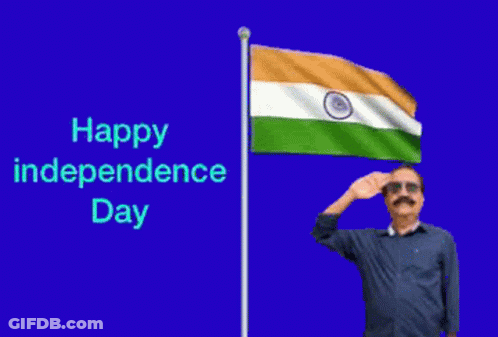 Man Saluting Flag Happy Independence Day GIF