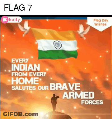 Man Saluting Flag With Brave Armed Forces GIF