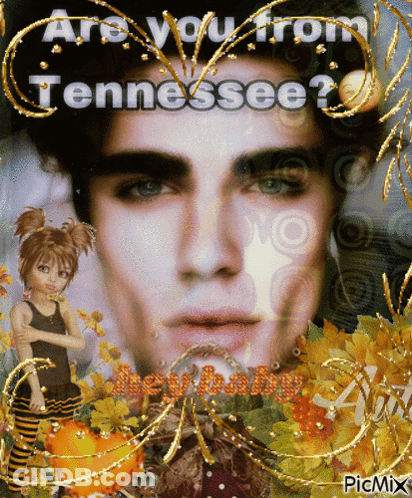 Man Saying Are You From Tennessee GIF
