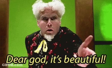 Man Saying Dear God It's Beautiful GIF